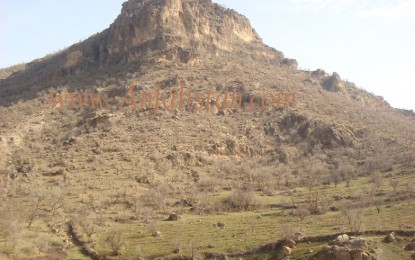 بەلگە دەربارەی کیمیابارانکردنی بالیسان