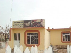 DSC01106