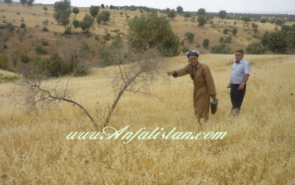 گەشتی ئەنفالستان بۆ بادینان – گوندی کورێمێ