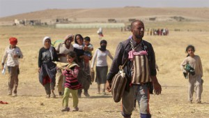 yezidi
