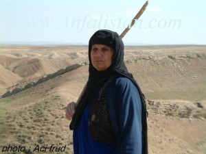 ئافتاو