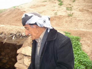 1 (84)