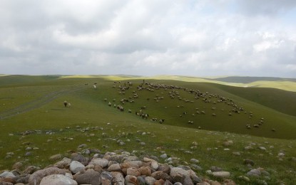 ناوی ئەنفال كراوانی گوندی توكن