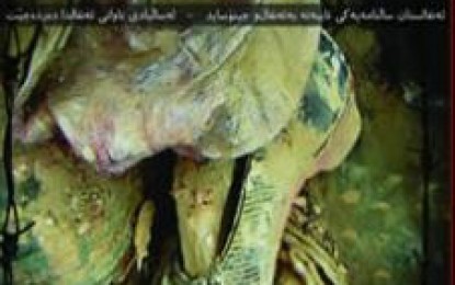 نازانم ..!
