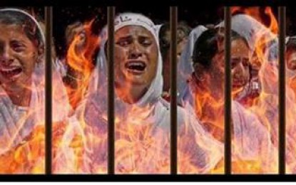 هەواڵەکە درۆیە – عومەرمحەمەد