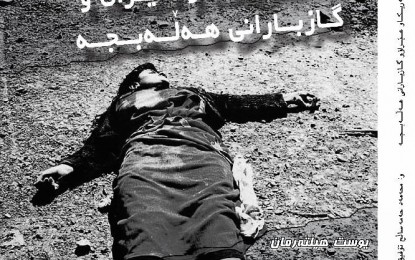خوێندنەوەیەك بۆكتێبی كارێكی ژەهراوی ” ئەمەریكا و عێراق – گازبارانكردنی هەڵەبجە “