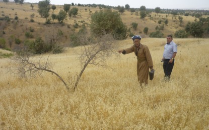 گەشت بۆ بادینان -گوندی كورێمی . لەیادی کۆمەڵکوژی ئەنفالی بادینان و کۆمەڵکوژی گوندی کورێمێ . عومەرمحەمەد  ٣٠/٨/٢٠١٢ – سلێمانی