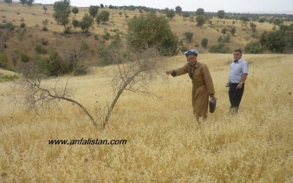 ٢٥ی ئاب یادی دەستپێکی ئەنفالی کۆتایی