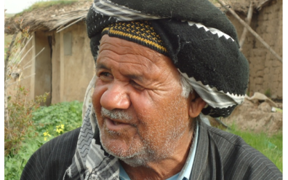 مەرگی تاقانەیەکی تر