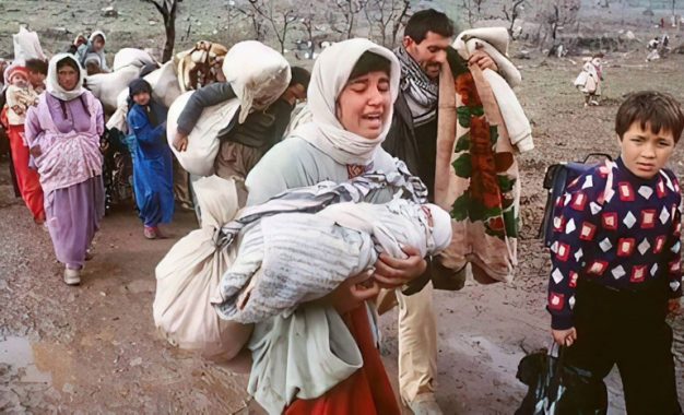 شەنگال و جێنۆساید ………………………..مەحسەن حەسەن