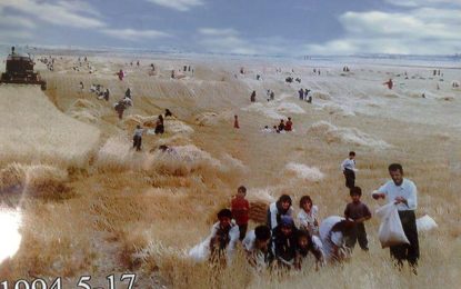 رەنگە ڕۆژێک بیابان ببێت بەگوڵزار …………………………….هۆمەر محەمەد