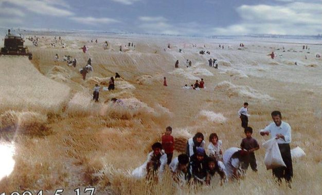 رەنگە ڕۆژێک بیابان ببێت بەگوڵزار …………………………….هۆمەر محەمەد